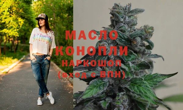 дживик Бородино
