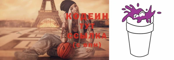 дживик Бородино