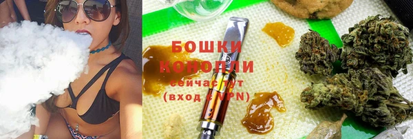 дживик Бородино