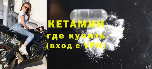 дживик Бородино