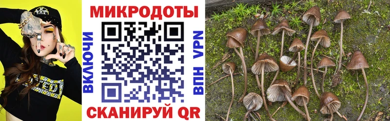 Галлюциногенные грибы Psilocybe Купить Валуйки
